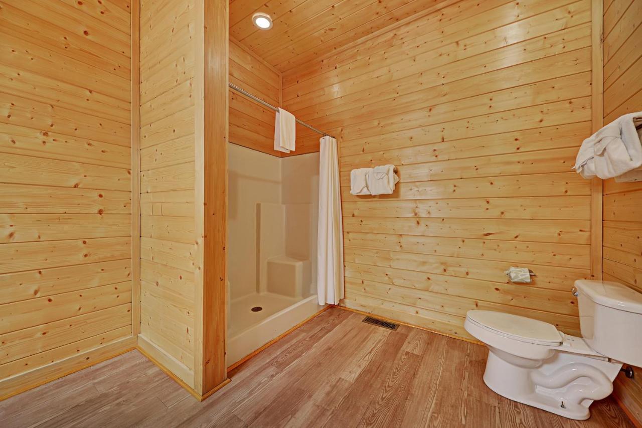 הוילה סביירוויל Gorgeous Large Mountain View Cabin W Hot Tub, Free Wifi, Games מראה חיצוני תמונה